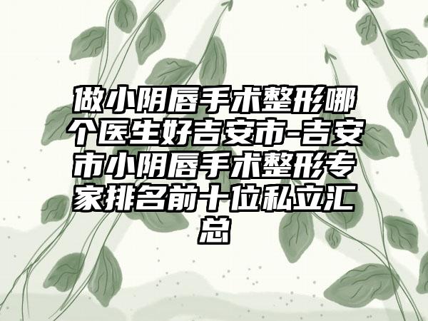 做小阴唇手术整形哪个医生好吉安市-吉安市小阴唇手术整形专家排名前十位私立汇总