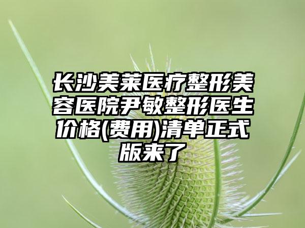 长沙美莱医疗整形美容医院尹敏整形医生价格(费用)清单正式版来了