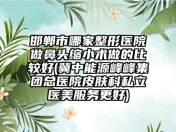邯郸市哪家整形医院做鼻头缩小术做的比较好(冀中能源峰峰集团总医院皮肤科私立医美服务更好)