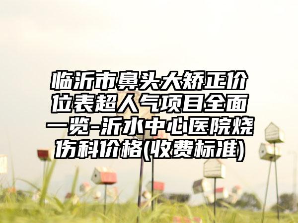 临沂市鼻头大矫正价位表超人气项目全面一览-沂水中心医院烧伤科价格(收费标准)