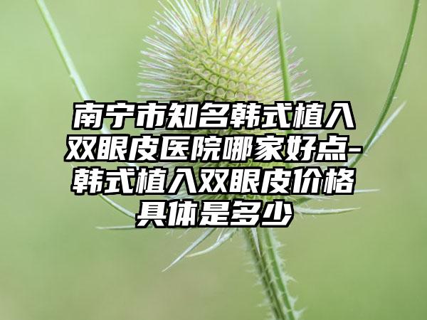 南宁市知名韩式植入双眼皮医院哪家好点-韩式植入双眼皮价格具体是多少