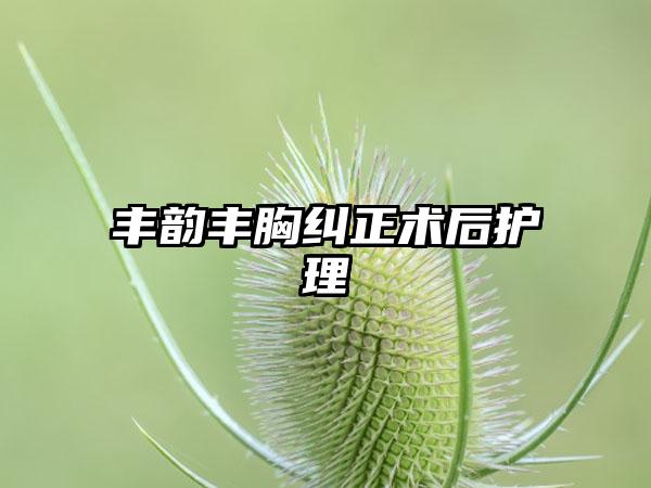 丰韵丰胸纠正术后护理
