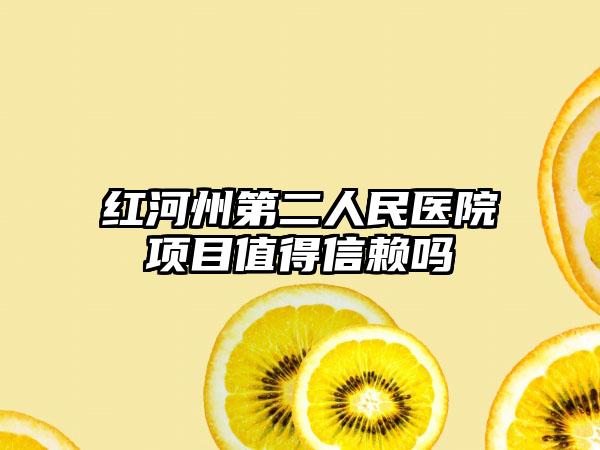 红河州第二人民医院项目值得信赖吗