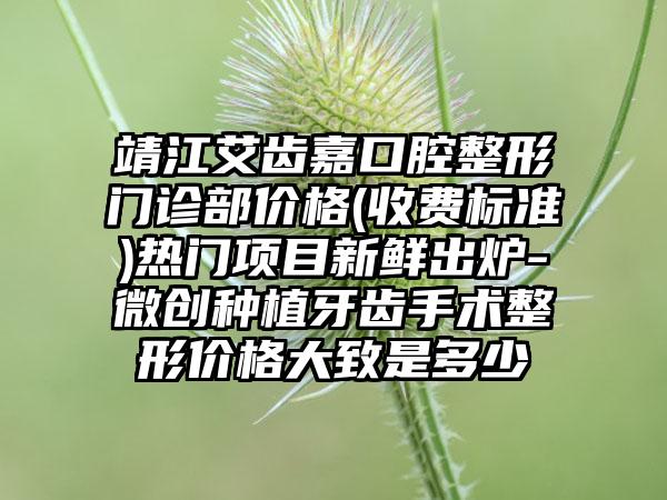 靖江艾齿嘉口腔整形门诊部价格(收费标准)热门项目新鲜出炉-微创种植牙齿手术整形价格大致是多少