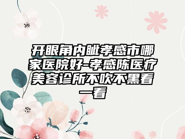 开眼角内眦孝感市哪家医院好-孝感陈医疗美容诊所不吹不黑看一看