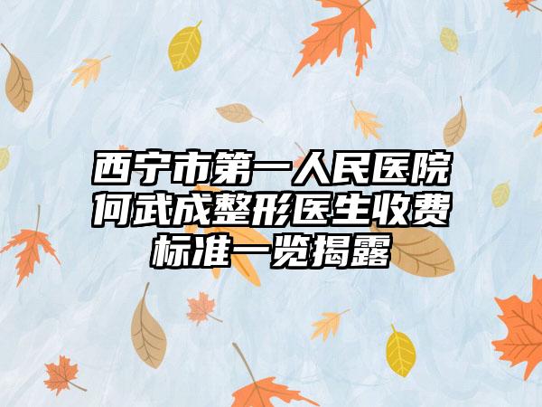 西宁市第一人民医院何武成整形医生收费标准一览揭露
