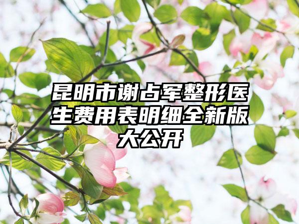 昆明市谢占军整形医生费用表明细全新版大公开