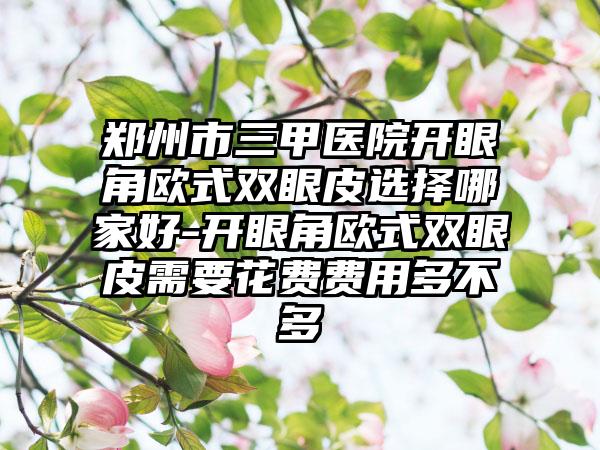 郑州市三甲医院开眼角欧式双眼皮选择哪家好-开眼角欧式双眼皮需要花费费用多不多