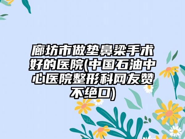 廊坊市做垫鼻梁手术好的医院(中国石油中心医院整形科网友赞不绝口)