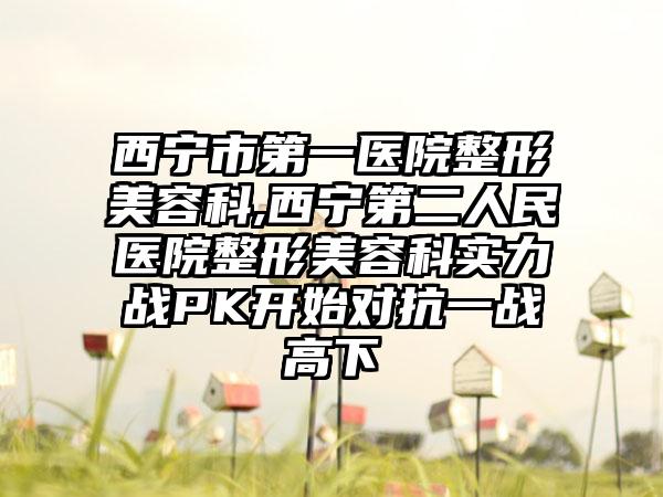 西宁市第一医院整形美容科,西宁第二人民医院整形美容科实力战PK开始对抗一战高下
