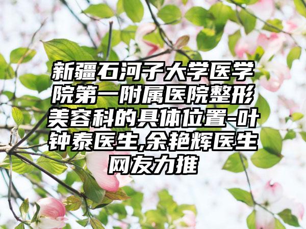 新疆石河子大学医学院第一附属医院整形美容科的具体位置-叶钟泰医生,余艳辉医生网友力推