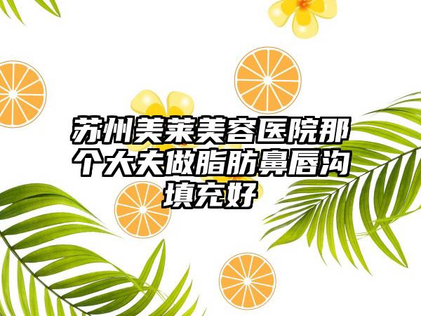 苏州美莱美容医院那个大夫做脂肪鼻唇沟填充好