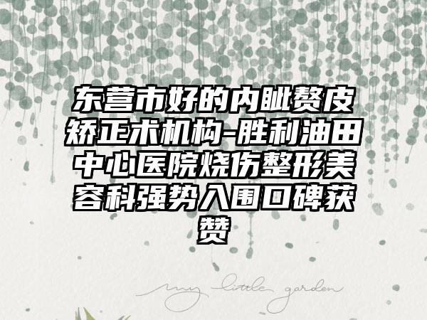东营市好的内眦赘皮矫正术机构-胜利油田中心医院烧伤整形美容科强势入围口碑获赞