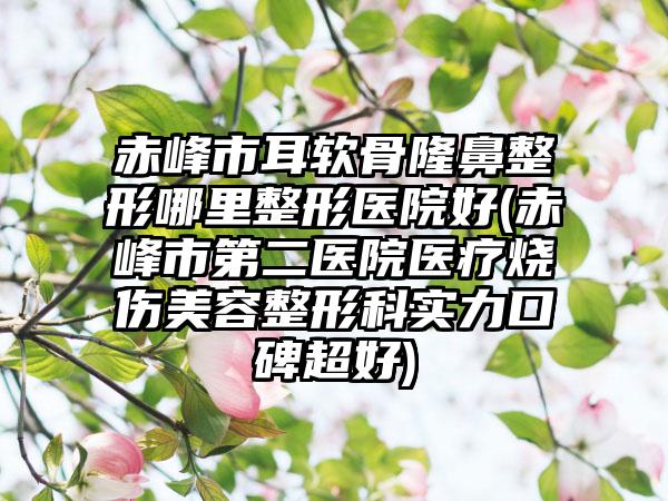 赤峰市耳软骨隆鼻整形哪里整形医院好(赤峰市第二医院医疗烧伤美容整形科实力口碑超好)