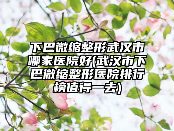 下巴微缩整形武汉市哪家医院好(武汉市下巴微缩整形医院排行榜值得一去)