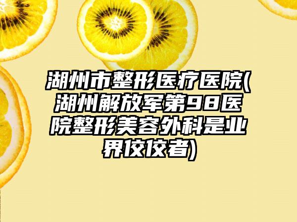 湖州市整形医疗医院(湖州解放军第98医院整形美容外科是业界佼佼者)