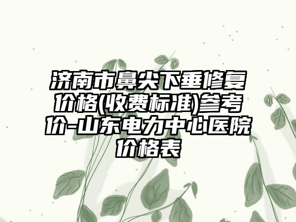 济南市鼻尖下垂修复价格(收费标准)参考价-山东电力中心医院价格表